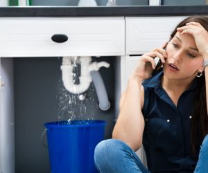 About Plumbers Pros Lecanto, FL